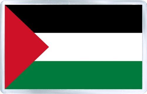 Green Black White Red Logo - AT THE UN, PALESTINIAN RAISE THEIR FLAG