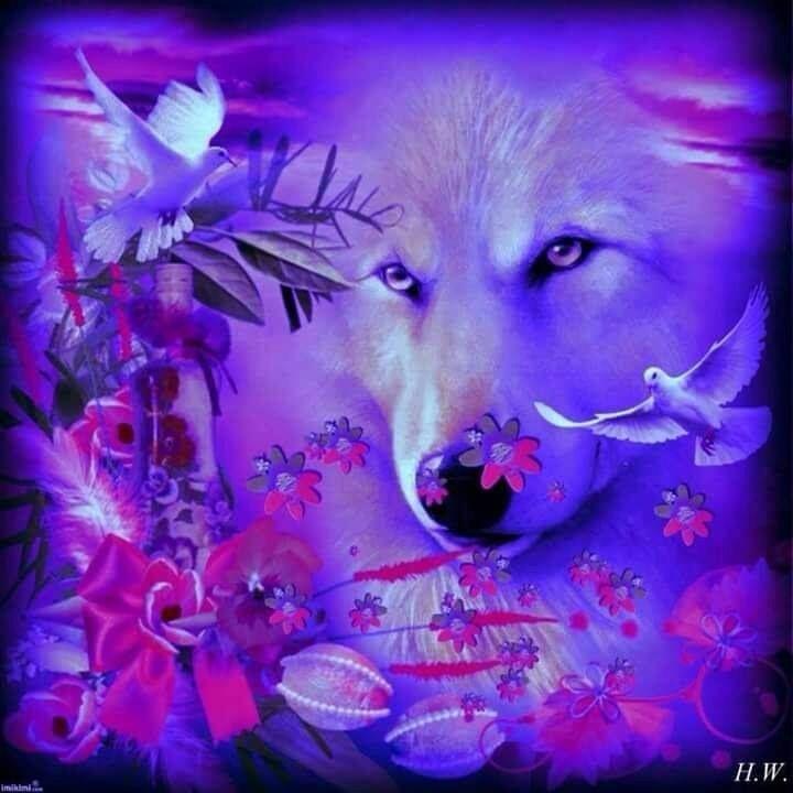 Purple and White Wolf Logo - Purple | wolf | Pinterest | Wolf, Wolf pictures and Beautiful wolves