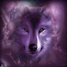 Purple and White Wolf Logo - 236 Best Purple Run With The Wolf images | Wolves, American indians ...