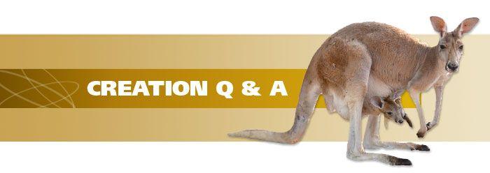 Kangaroo Q Logo - Why Do Kangaroos Live Only in Australia?