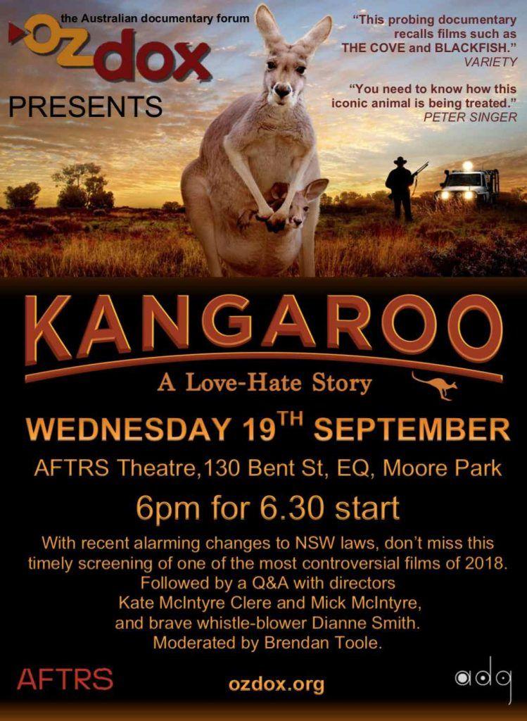 Kangaroo Q Logo - Kangaroo