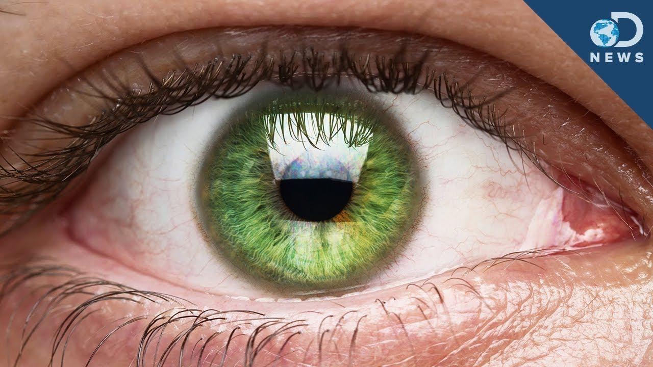 Spiral Green Eyeball Logo - Those Eye Floaters Live Inside You!