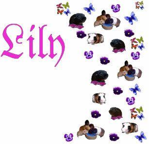 Lily Name Logo - Lily Names Gifts & Gift Ideas