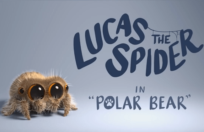 Cute Spider Logo - Afraid of Spiders? Meet Lucas! Cutest Spider Ever! - CHYM 96.7