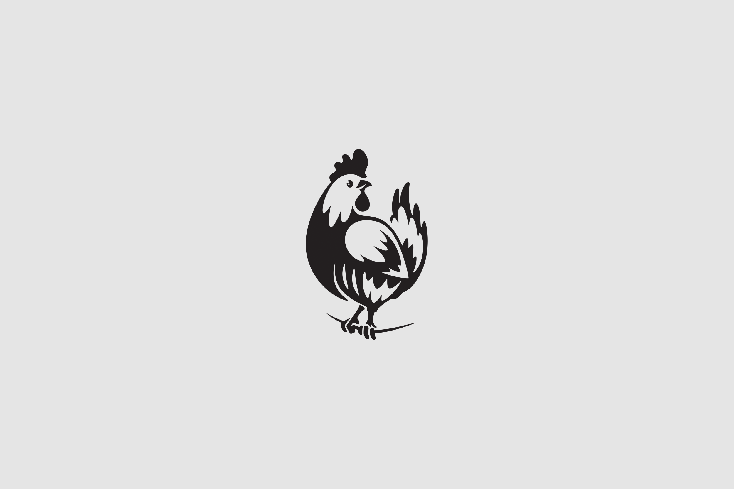 Wire Bird Logo - South – Bird on a Wire