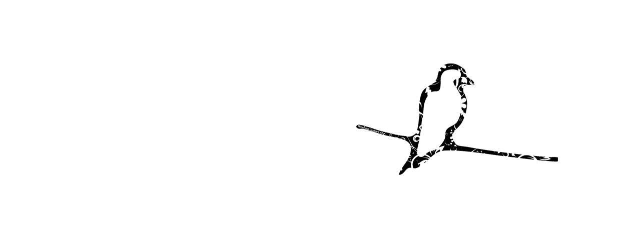 Wire Bird Logo - Wirebird