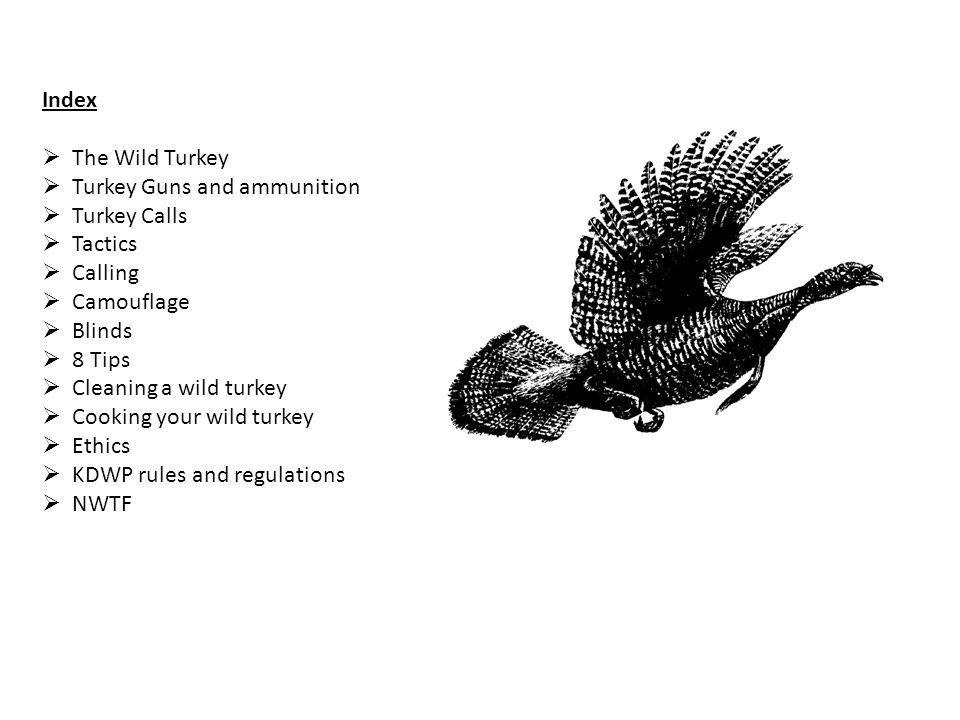 Flying Turkey Logo - Nwtf Flying Turkey Logo