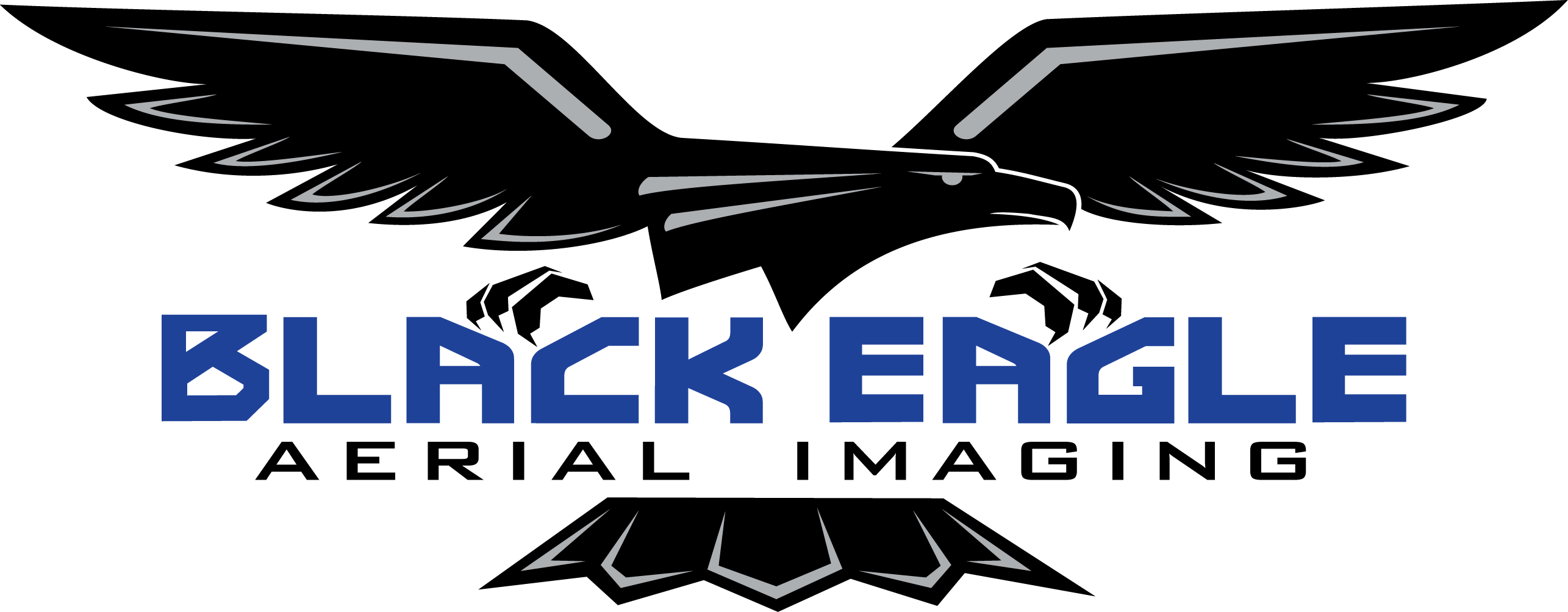Black Eagle Logo - Aerial Drone Videography and Photography