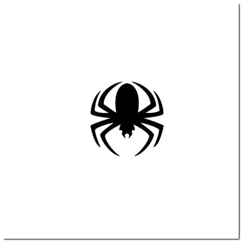 Cold Spider Logo - Cold Year Of The Spider Decal Sticker