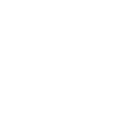Old FAA Logo - Aircraft Management | Southern Sky Aviation