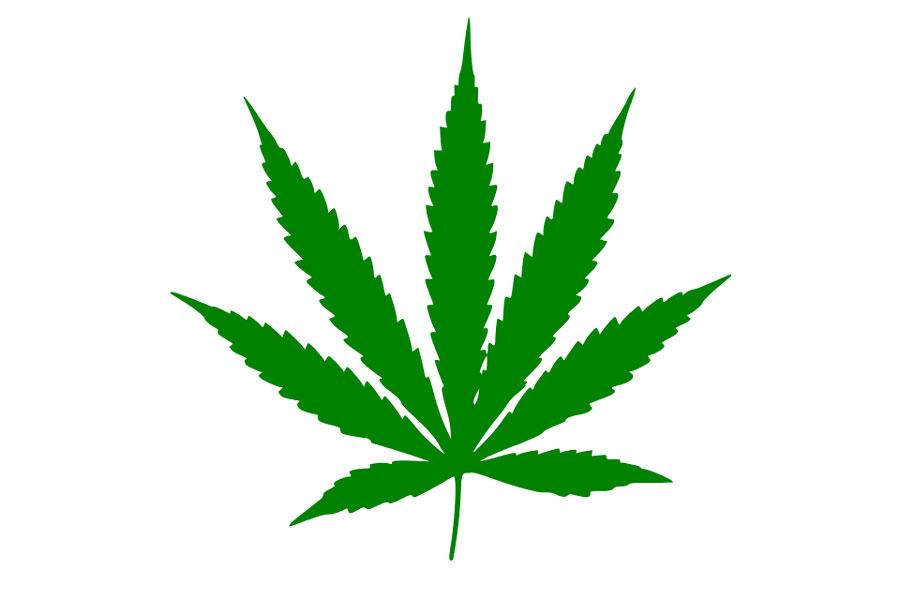 Marijuana Leaf Logo - 9 Best Examples of Cannabis Branding - Marijuana & Weed Logos