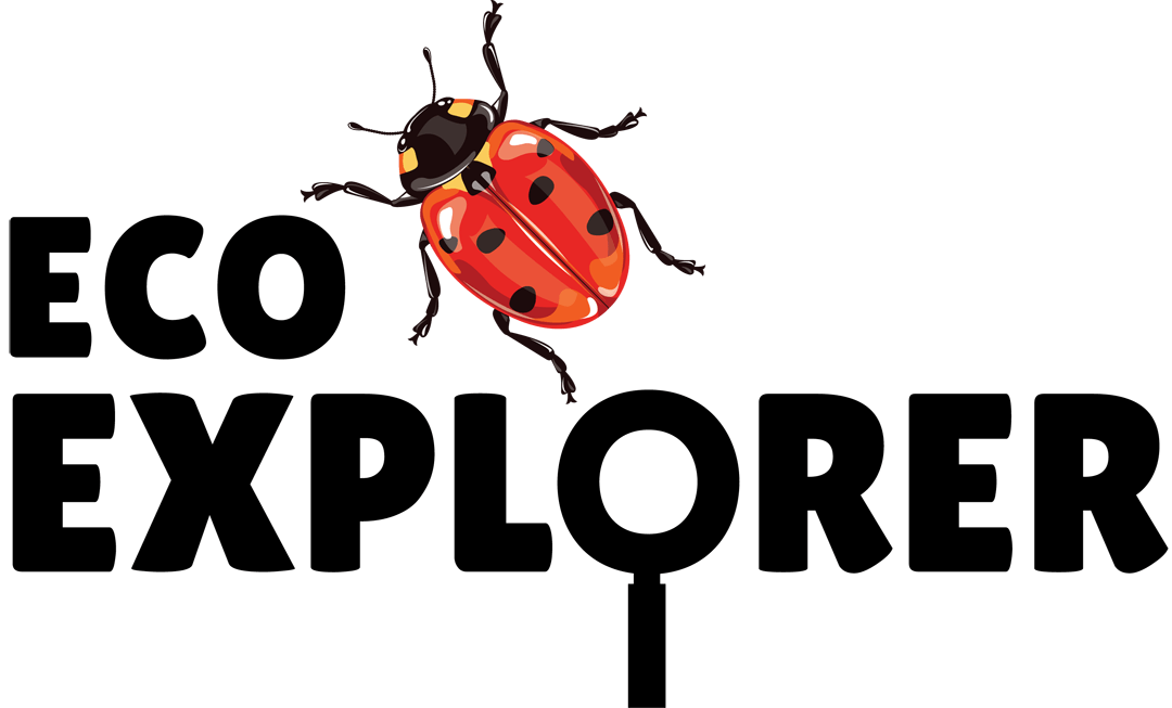 Explorer Logo - Eco-Explorer Logo 5 (2) - Outdoor Classroom Day UK & Ireland