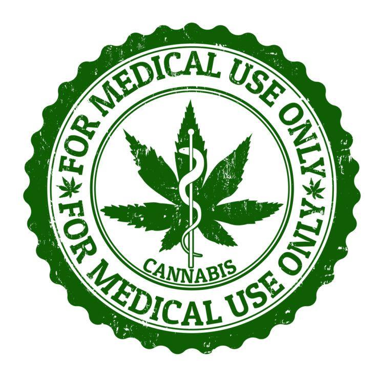 Medical Marijuana Logo - Medical Cannabis, Schools and Civil Rights | Canna Law Blog™