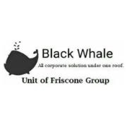 Black Whale Logo - Working at Black Whale. Glassdoor.co.uk
