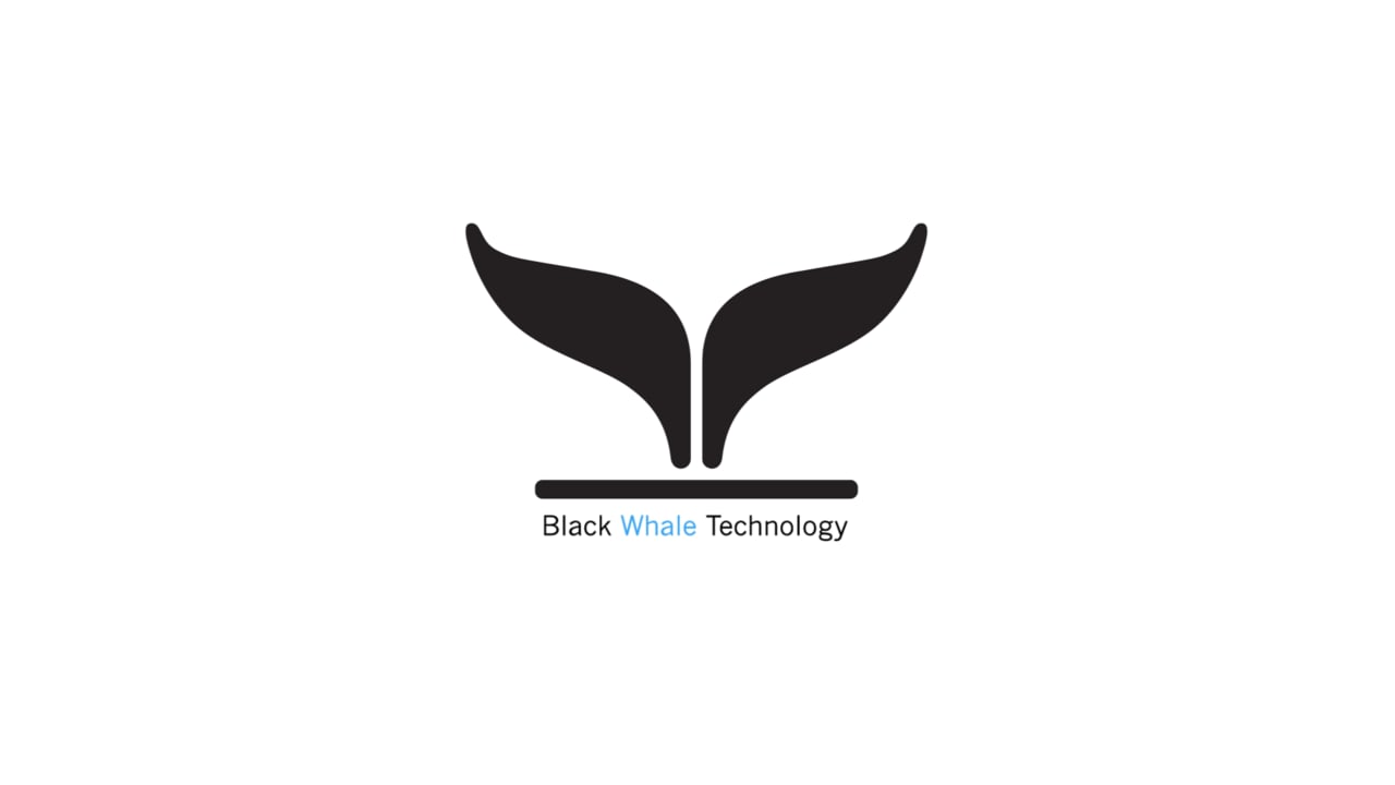 Black Whale Logo - Black Whale | Demo 02 on Vimeo
