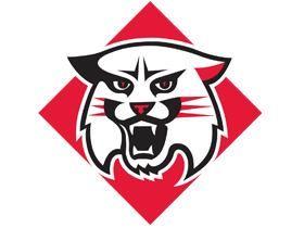 College Cat Logo - Cat Talk: My Portfolio - Davidson College - Acalog ACMS™