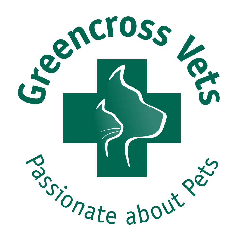 Green Cross Logo - Greencross Vets Indooroopilly | Operation Wanted