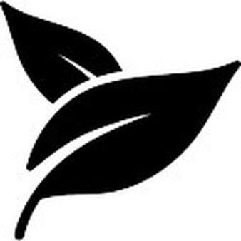 Black and White Leaf Logo - Black And White Png (88+ images in Collection) Page 3