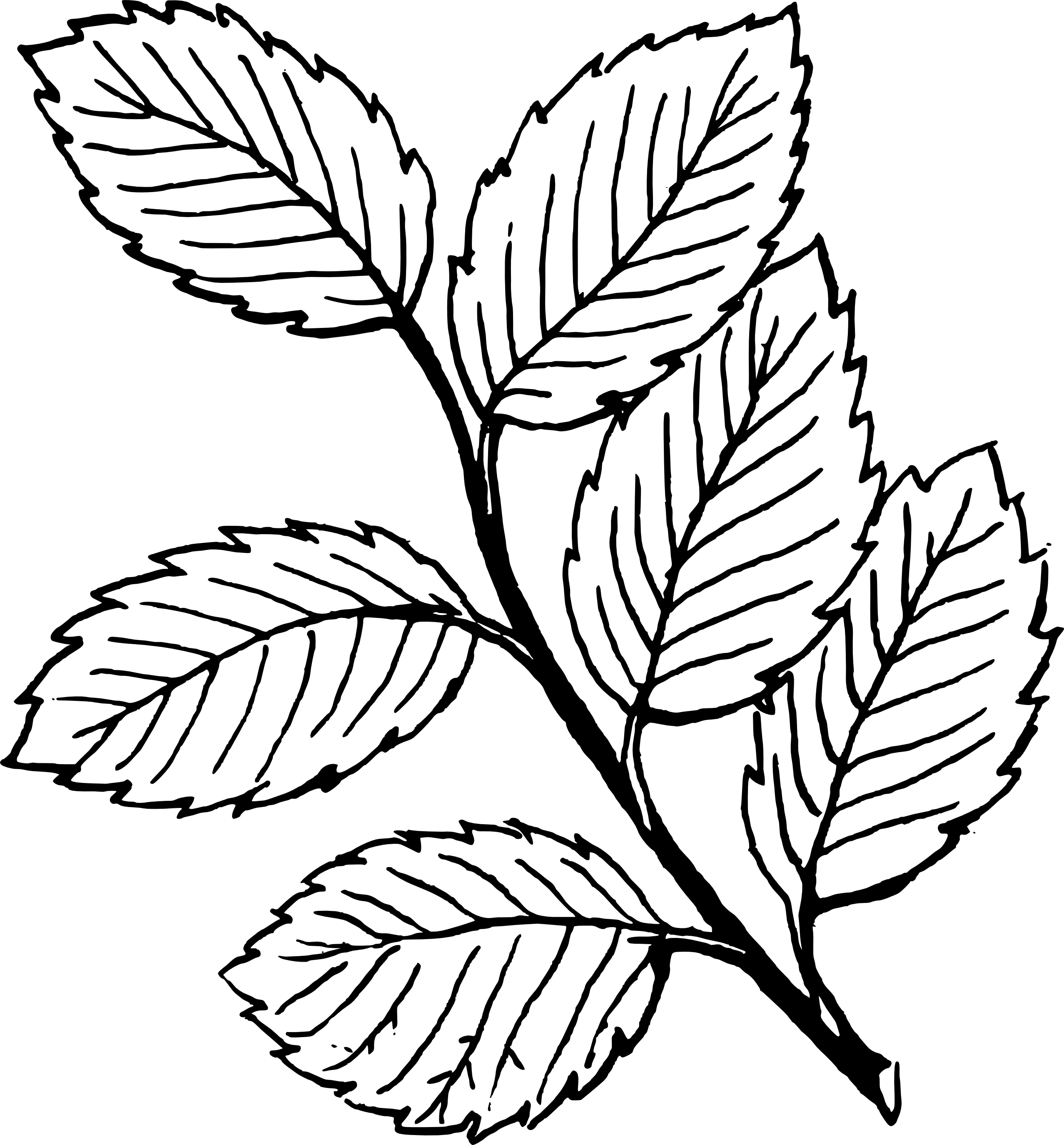 Black and White Leaf Logo - Free Black And White Leaves Clipart, Download Free Clip Art, Free