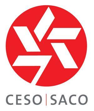 Executive Service Logo - Canadian Executive Service Organization (CESO) appoints JAMPRO as ...