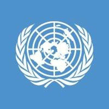 Circle of Nations Logo - The United Nations Logo - Picture of United Nations Visitor's ...