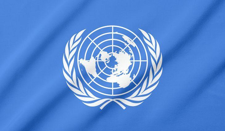 Circle of Nations Logo - What Do The Colors And Symbols Of The Flag Of The United Nations ...