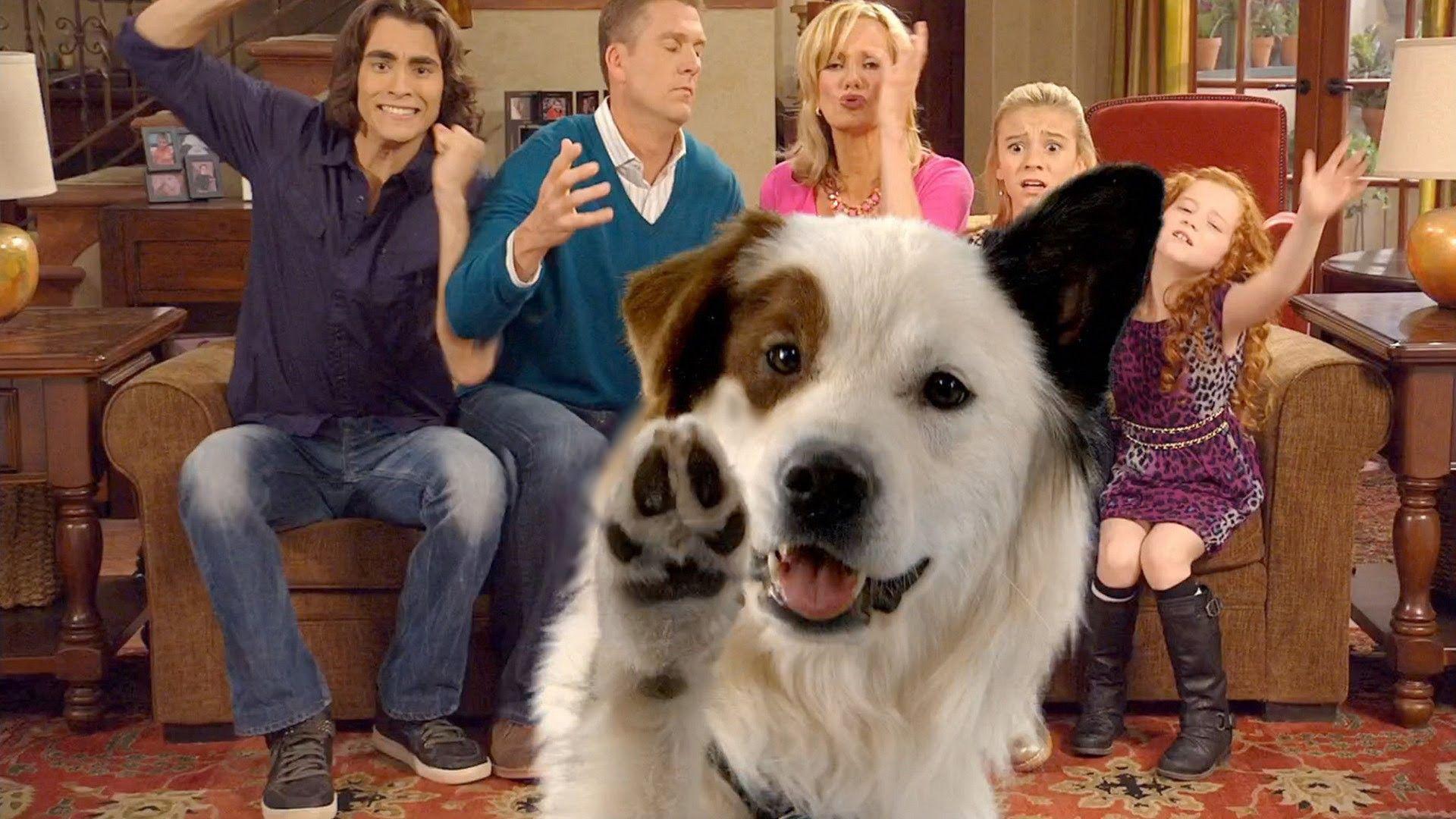 Dog with a Blog Disney Channel Logo - Modern Reboots For 'Dog With A Blog'
