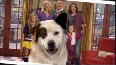 Dog with a Blog Disney Channel Logo - Dog with a Blog: Season Two