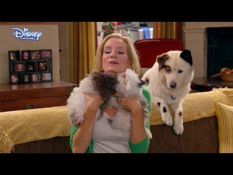 Dog with a Blog Disney Channel Logo - Dog With A Blog Puppies! Disney Channel UK HD