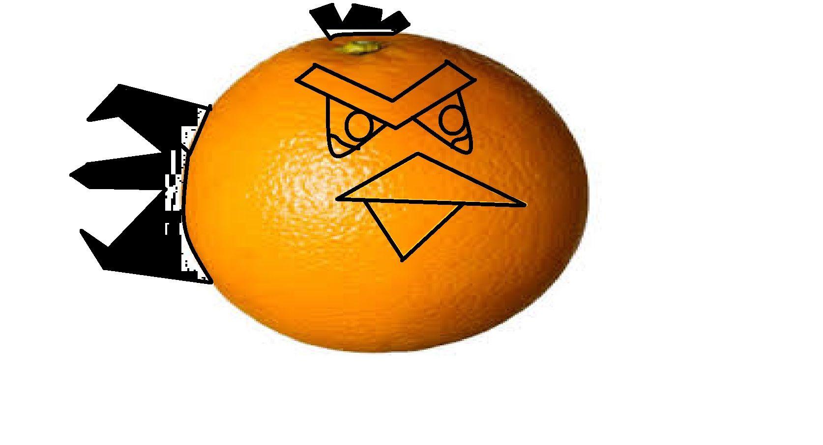 Orange Bird in Circle Logo