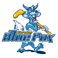 Blue and Green Fox Logo - Herning Blue Fox