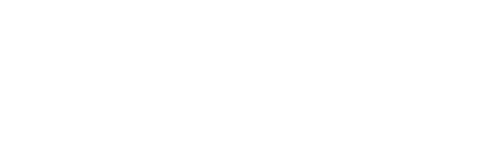 Flagler Logo - Home