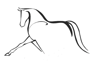 Dressage Horse Logo - Dressage Horse Match