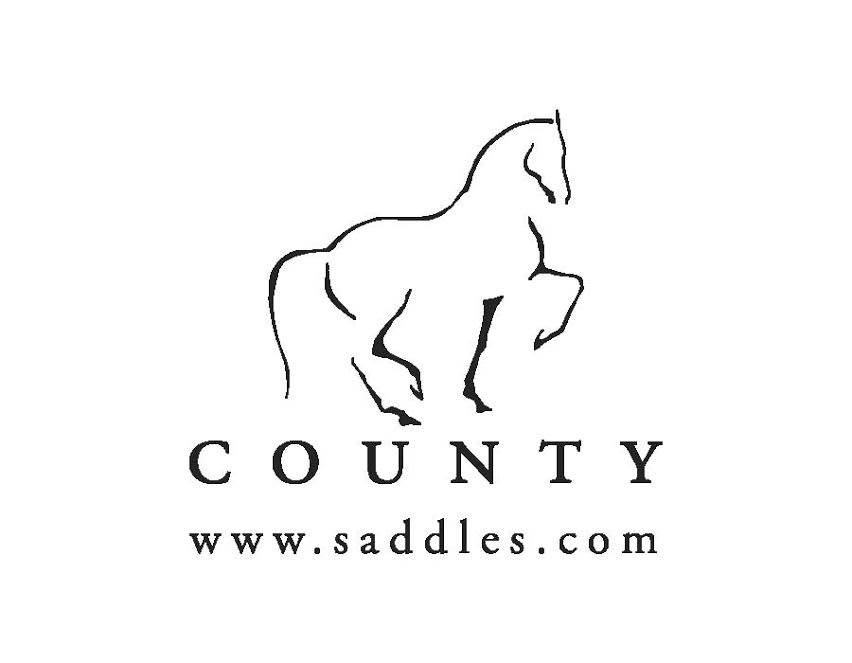 Dressage Horse Logo - Lane Cove Dressage - About