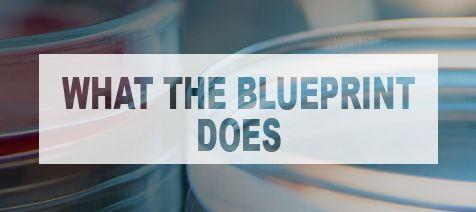 Blue Print U Logo - WHO | A research and development Blueprint for action to prevent ...
