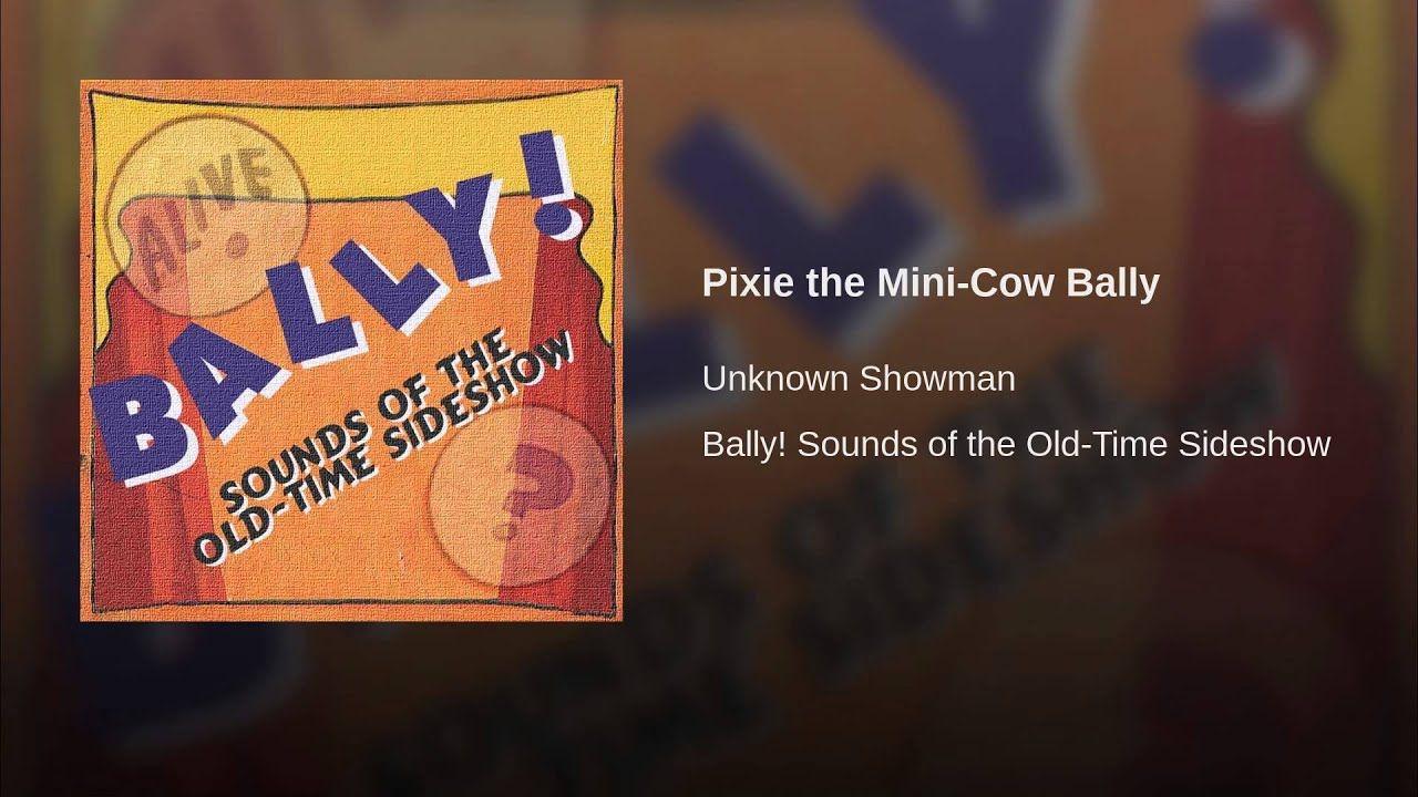 Bally Cow Logo - Pixie the Mini-Cow Bally - YouTube