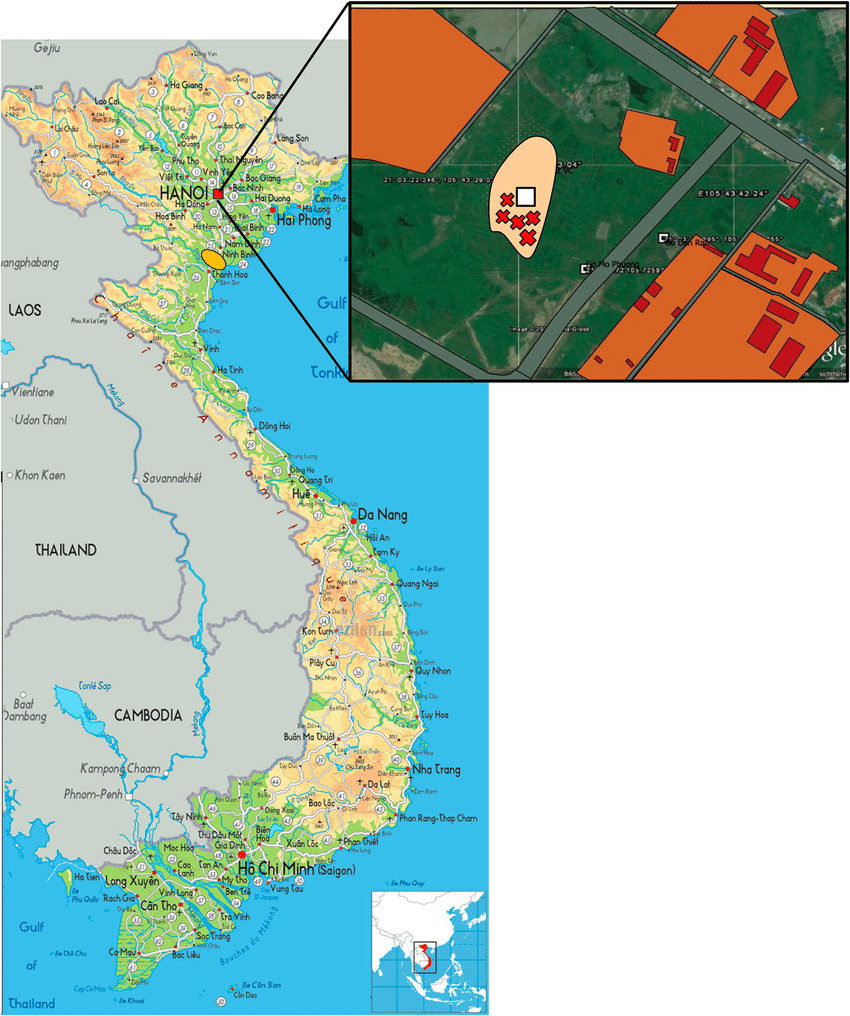 Blue Square Yellow Oval Logo - Map of Vietnam highlighting the Thanh Hoa region (yellow oval)