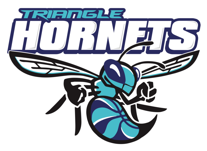 Hornets Football Logo - Hornets Logo Png Images