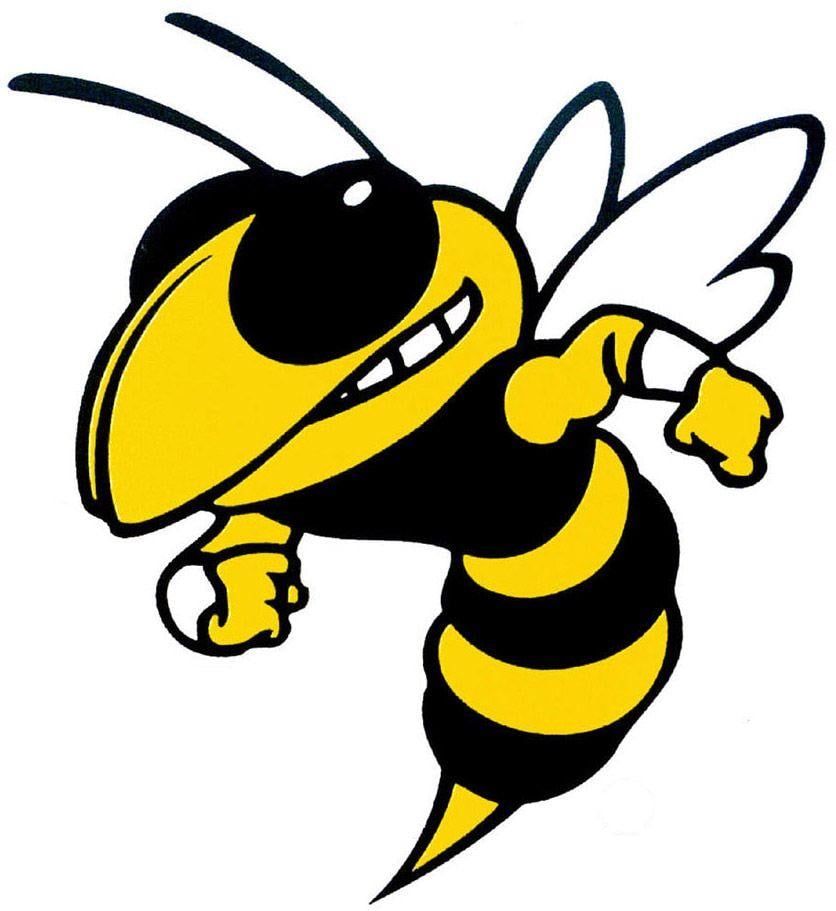 Hornets Football Logo - Hornets Football Logo