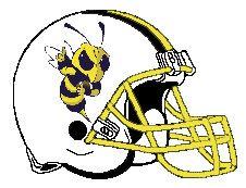 Hornets Football Logo - Picture of Hornets Football Logo