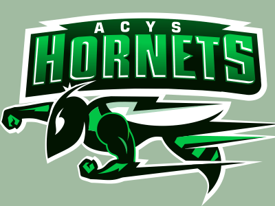 Hornets Football Logo - Acys Hornets logo by Mauricio Fontinele | Dribbble | Dribbble