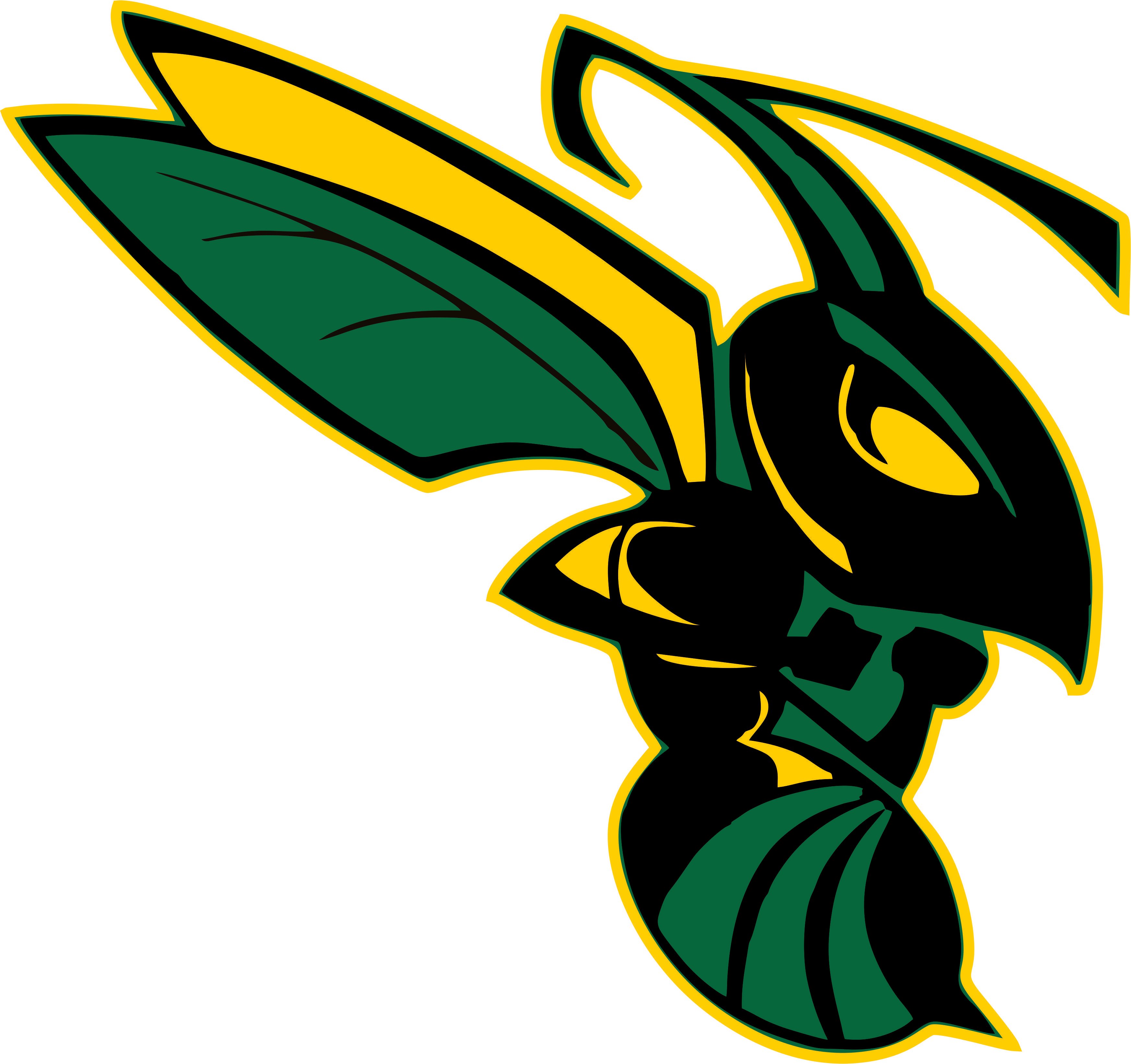 Hornets Football Logo - East Penn Emmaus Midget Football Association