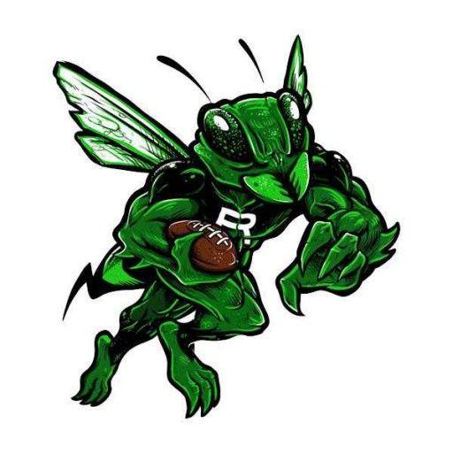 Hornets Football Logo - RHS Hornet Football