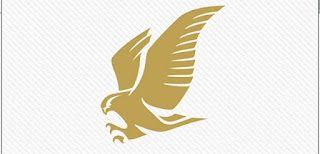 Gold Eagle Logo - 17 Black And Gold Eagle Icon Images - Eagle High School Football ...