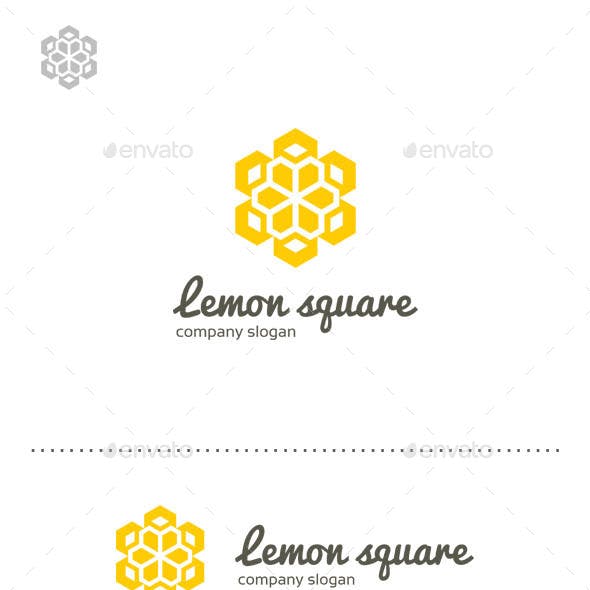 Lemon Square Logo - Lemon Marketing Graphics, Designs & Templates from GraphicRiver
