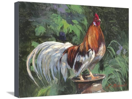 Red White Rooster Logo - Red And White Rooster Stretched Canvas Print by Nenad Mirkovich at ...