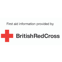 Red First Aid Logo - British Red Cross First Aid Academy | The Baby Show