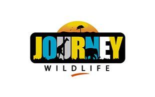 Safari Logo - Wildlife & Safari Logo Design. Safari Logos. Logo Design Team
