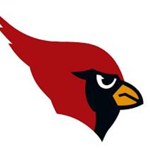 High School Metamora Redbirds Logo - Boys Varsity Football High School, Illinois