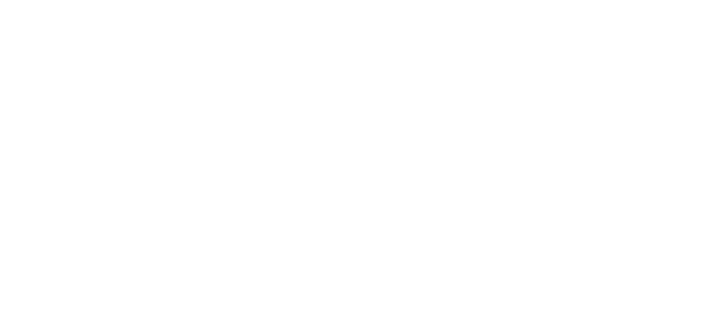 DeepMap Logo - St. Louis River Estuary Deep Map